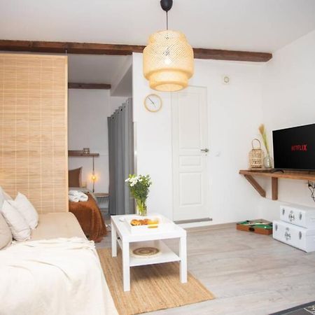 Le Boheme, Cosy, Hypercentre Apartment Grenoble Luaran gambar
