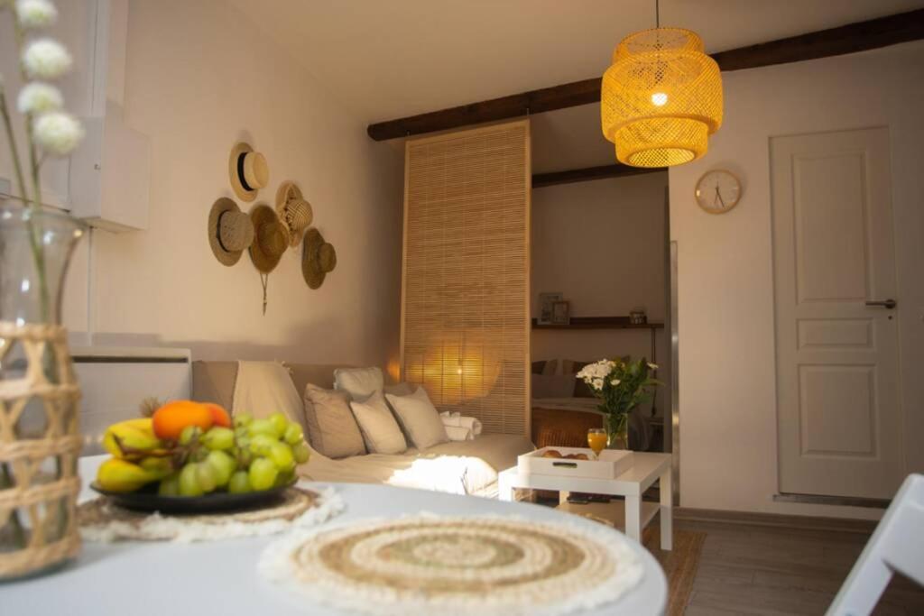 Le Boheme, Cosy, Hypercentre Apartment Grenoble Luaran gambar