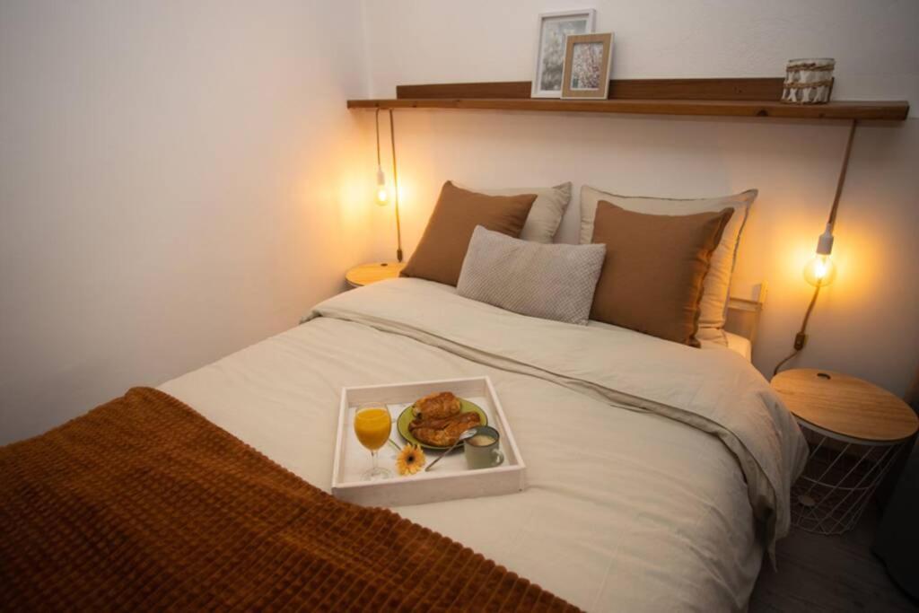Le Boheme, Cosy, Hypercentre Apartment Grenoble Luaran gambar