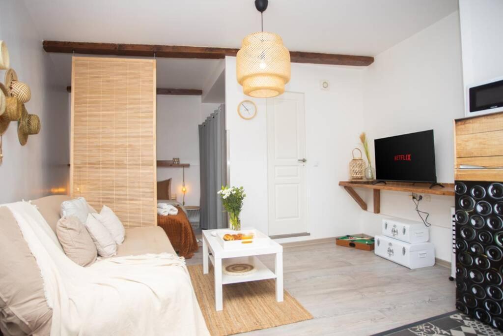 Le Boheme, Cosy, Hypercentre Apartment Grenoble Luaran gambar